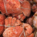 鳕蟹红毛蟹毛蟹料理海螃蟹红毛蟹大闸蟹梭子蟹面包蟹