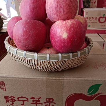 自家种植的甘肃静宁苹果，个大型正，色泽鲜艳，口感脆甜。
