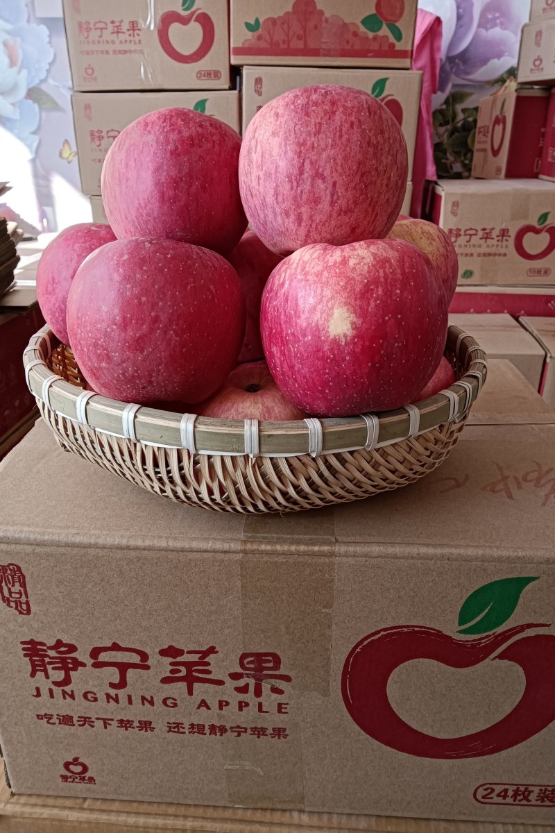 自家种植的甘肃静宁苹果，个大型正，色泽鲜艳，口感脆甜。