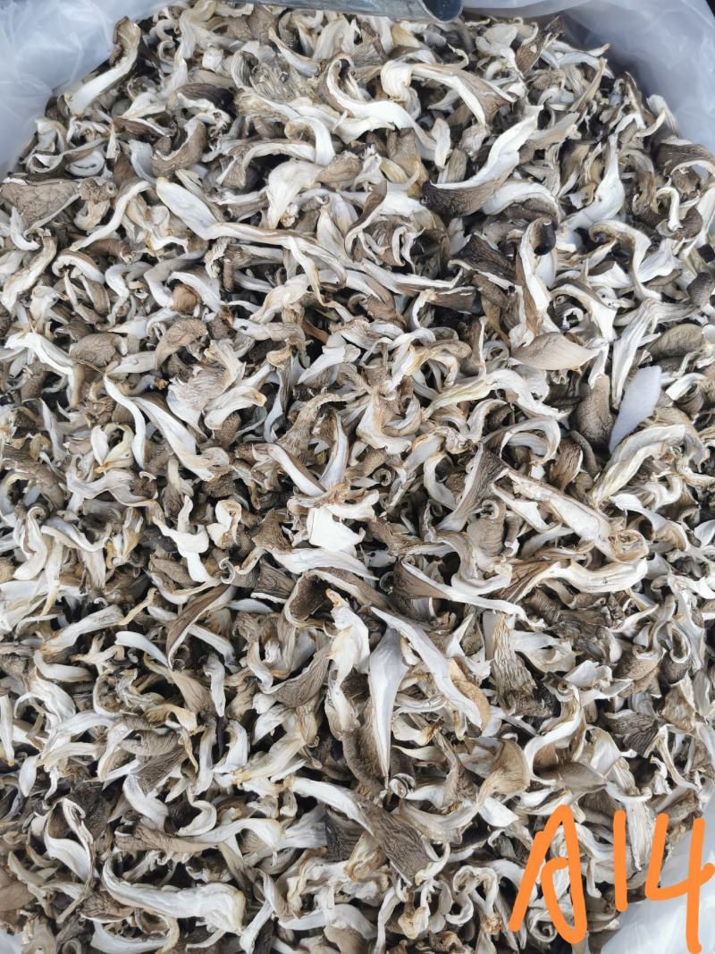 平菇干货各种规格各种型号批发需要联系价格便宜满意下单