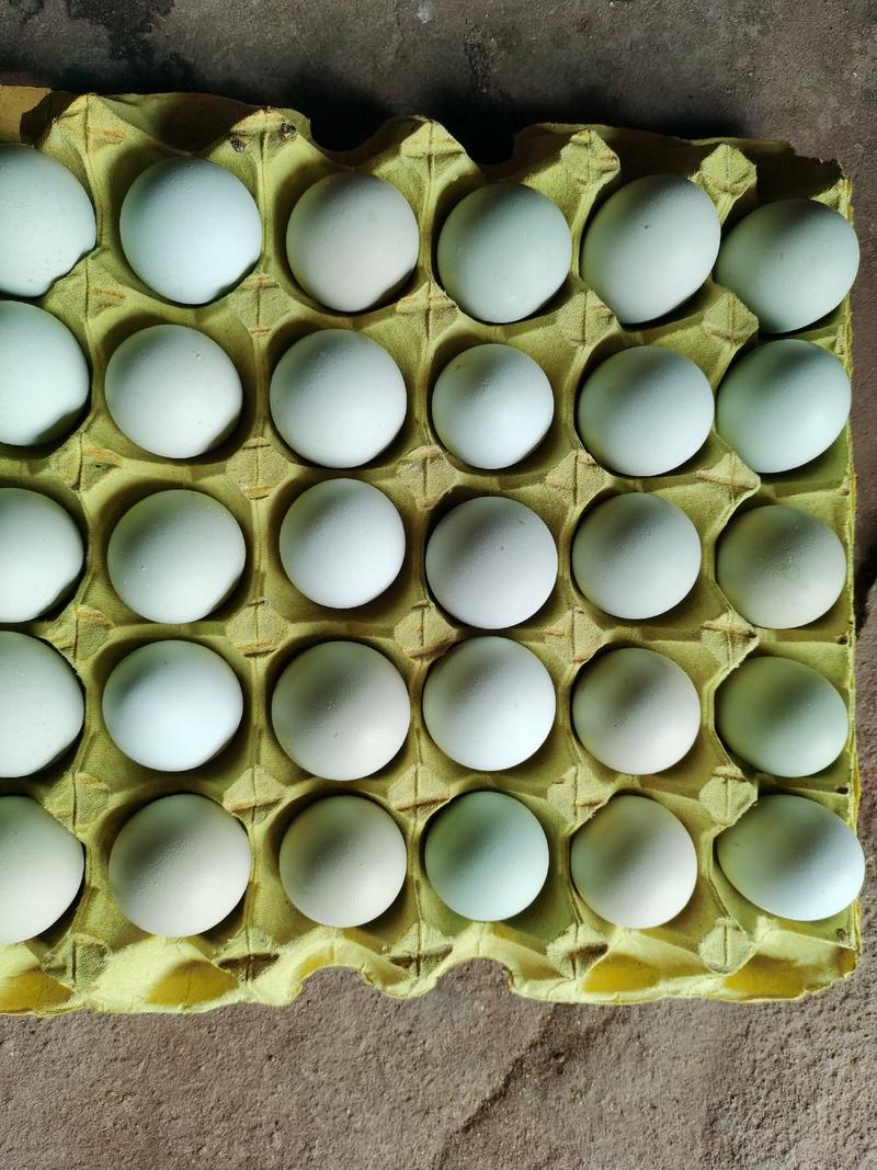 湖北武汉【绿壳鸡蛋】全国发货12个一斤20个480个装