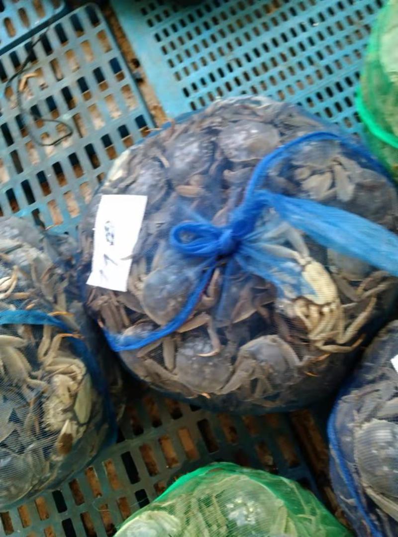 大闸蟹产地直供，江苏螃蟹规格齐全可选价格便宜