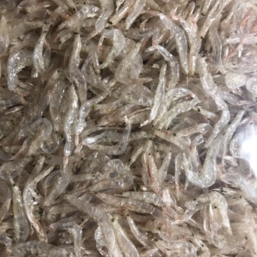 虾皮干
