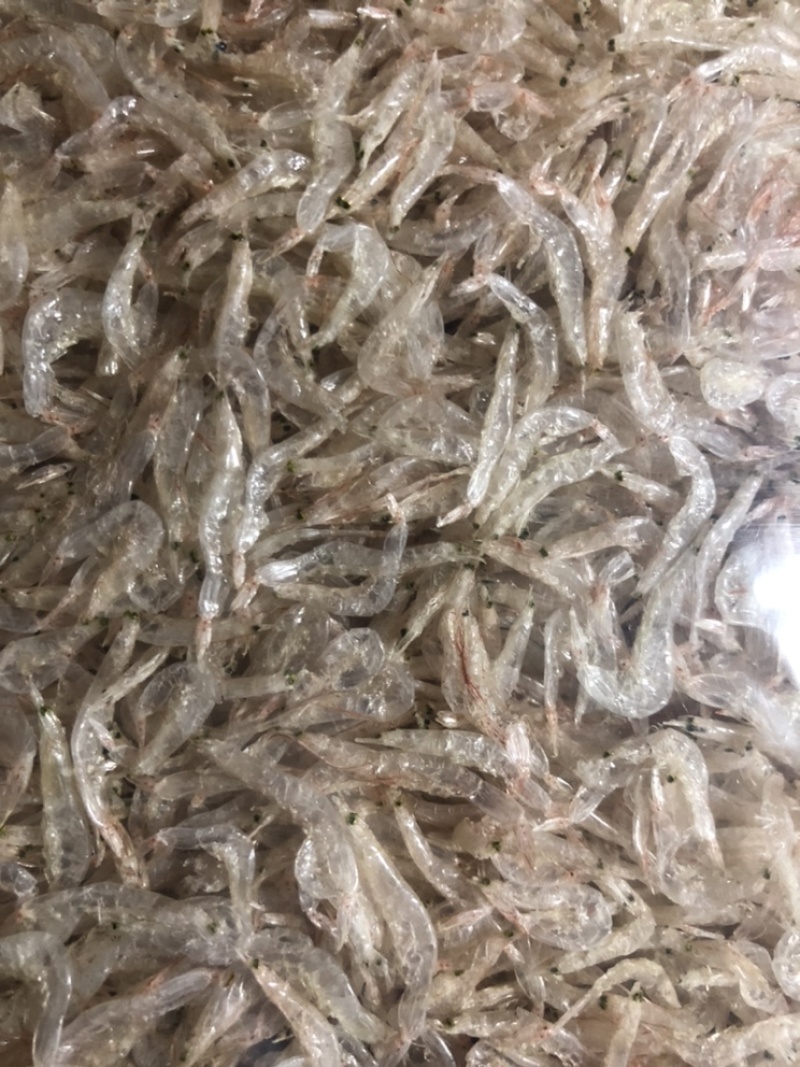虾皮干