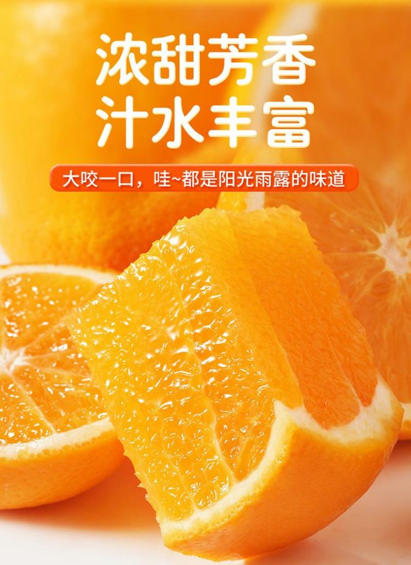 江西赣南脐橙甜橙纽荷尔脐橙实力代收代发果园多纯甜不酸