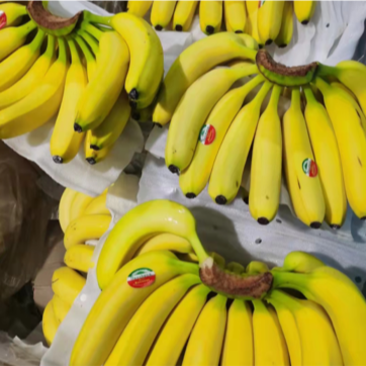 【香蕉】优质云南蕉，果面干净，不黑心不硬心代发全国