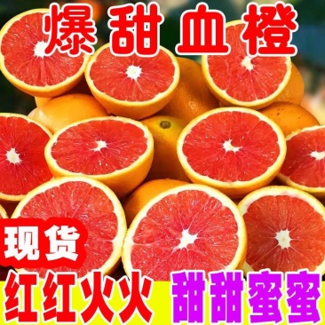 血橙精品血橙四川精品血橙基地直供量大从优对接全国