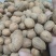 药用榧子香榧、玉榧、木榧货好量大要多优惠