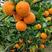 四川血橙果园现摘四川橙子新鲜供应低价代发全国