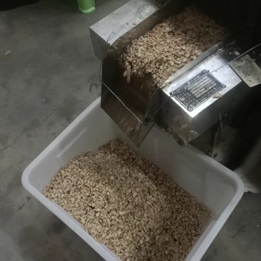 大量出售白芍片，有要货的可以联系我