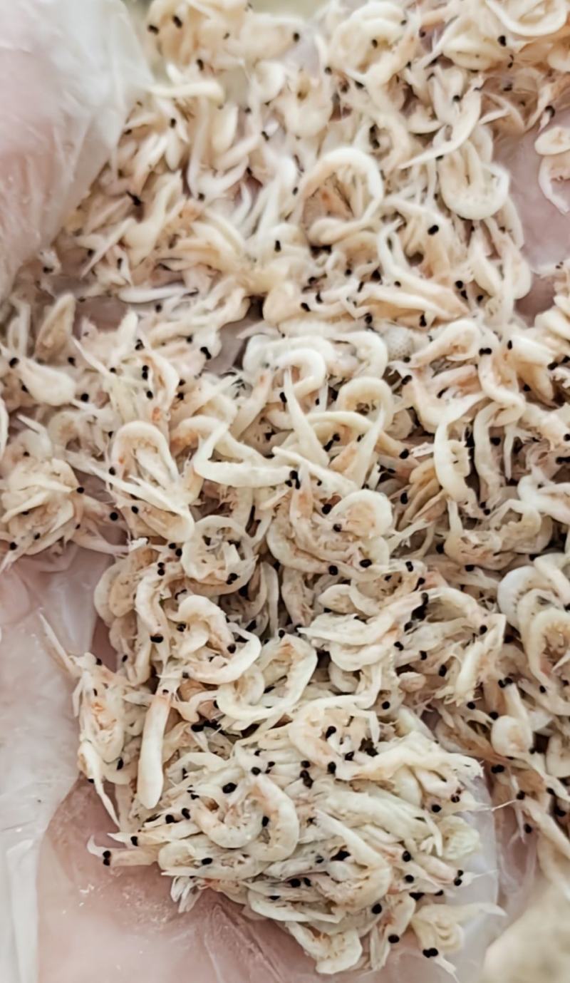 饲料引子虾四不像自家加工做虾粉家畜饲料蛋鸡蛋鸭用一手货源
