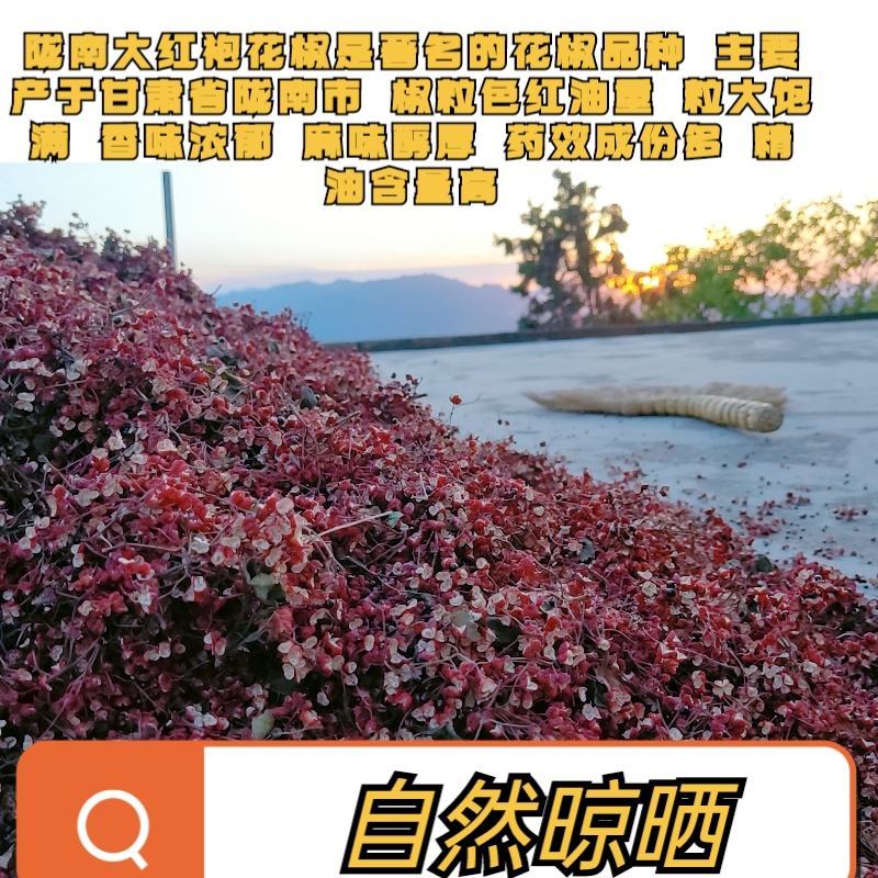 （推荐）武都花椒甘肃特产伏椒大红袍干花椒特麻调味料卤料