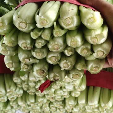 小白菜,大量现货,包装齐全,质量保障,诚信第一