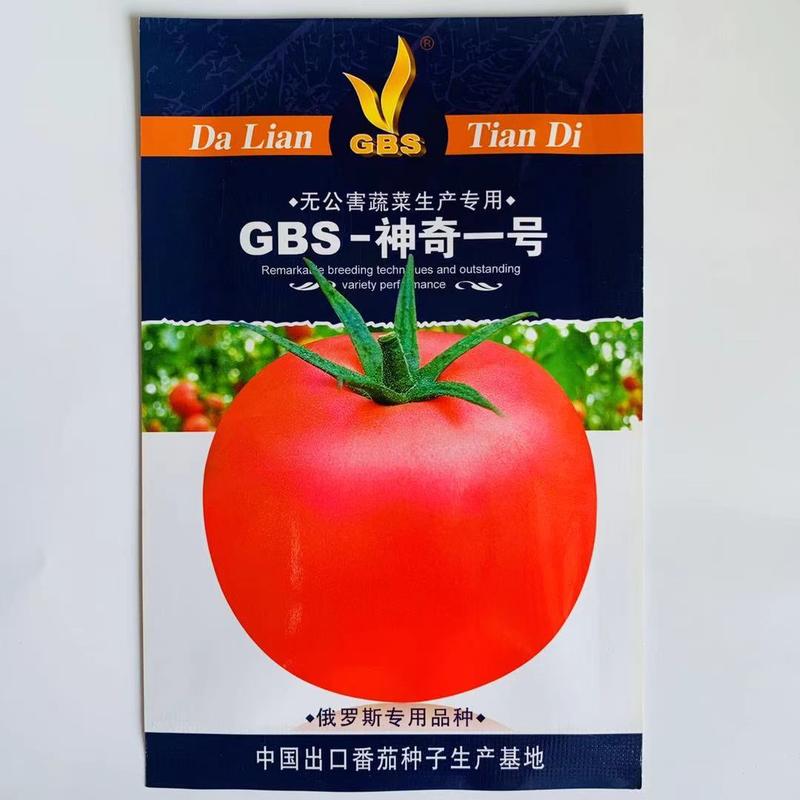 西红柿种子GBS神奇一号极早熟抗病高圆型粉红大果果皮特厚