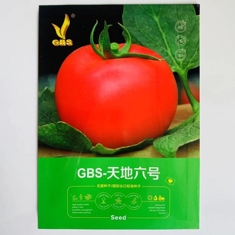 西红柿种子GBS神奇一号极早熟抗病高圆型粉红大果果皮特厚