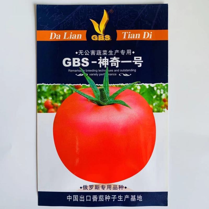 西红柿种子GBS天地六号极早熟无限粉红大果硬肉皮厚耐运输