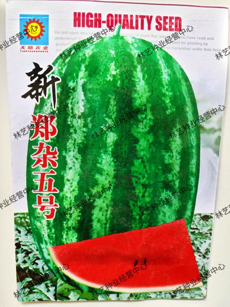 新郑杂五号西瓜种子农家种植早熟品种丰产红甜度高红壤西瓜种
