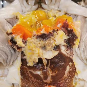 【母蟹支持混批】南京固城湖螃蟹，蟹黄饱满，肉质鲜甜