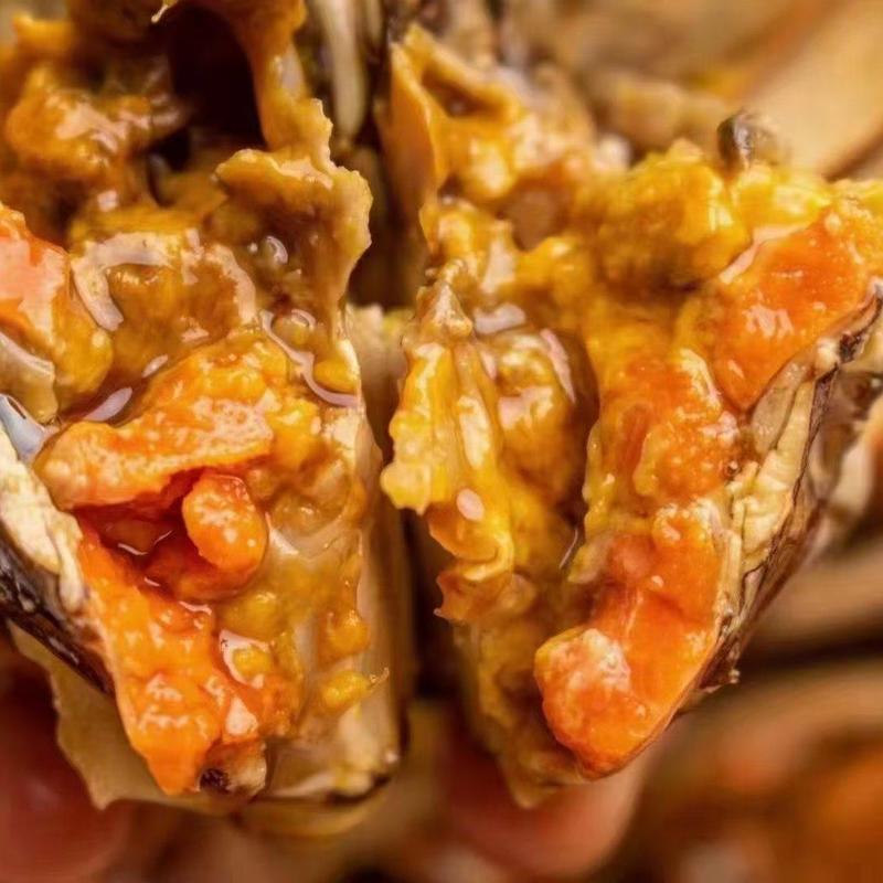 【母蟹支持混批】南京固城湖螃蟹，蟹黄饱满，肉质鲜甜