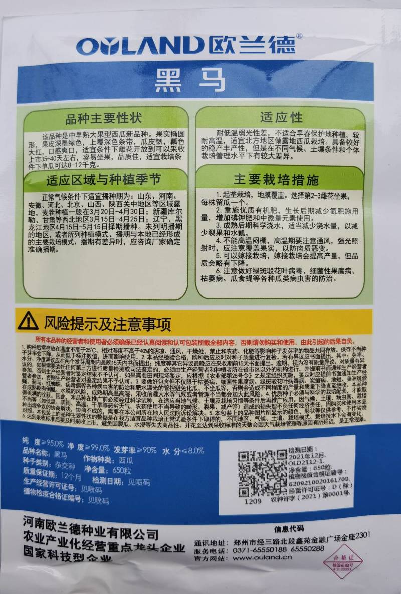 欧兰德黑马西瓜种子超龙卷风黑美人耐热大红瓤露地专用
