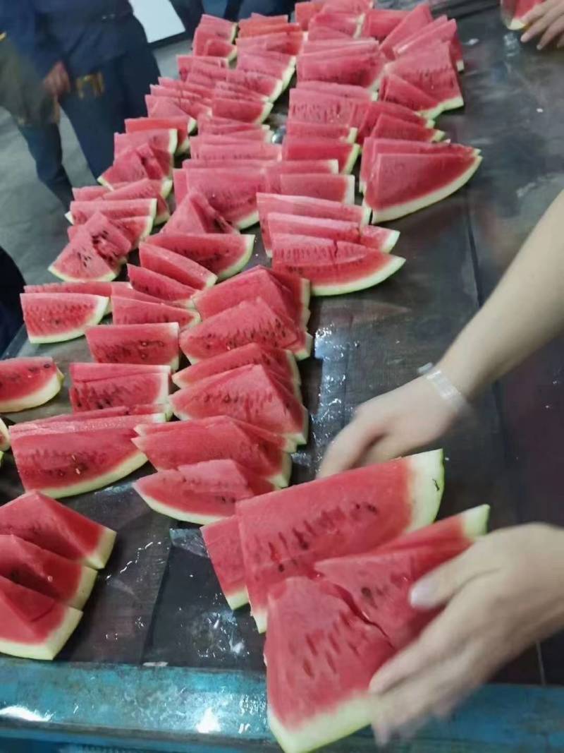 欧兰德黑马西瓜种子超龙卷风黑美人耐热大红瓤露地专用