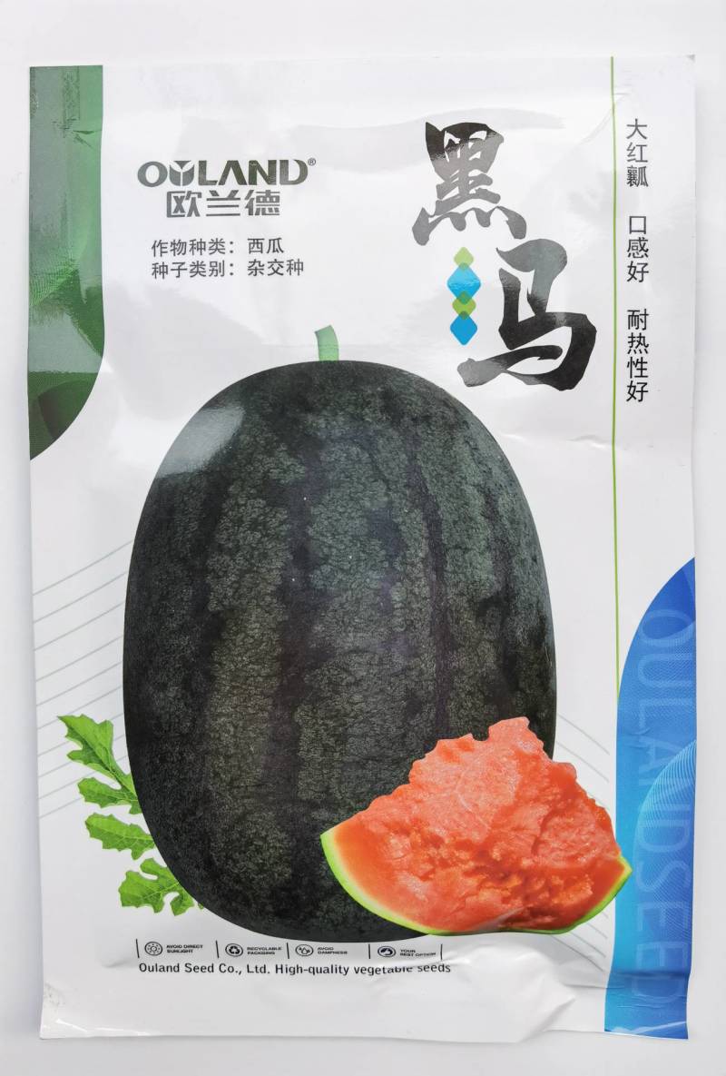 欧兰德黑马西瓜种子超龙卷风黑美人耐热大红瓤露地专用