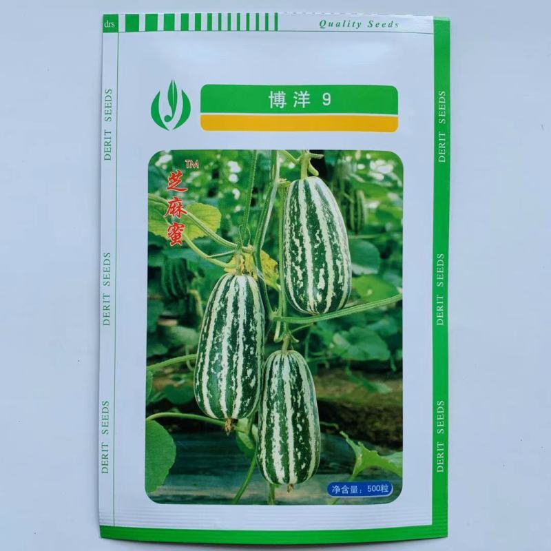 甜瓜种子博洋9号薄皮果肉黄绿色口感脆酥风味好外观新颖独特
