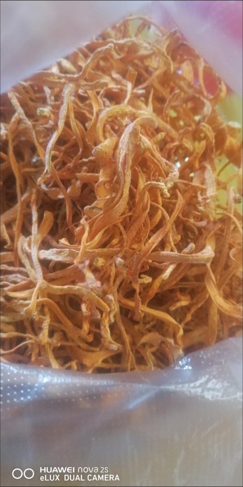 金虫草虫草花包邮中药材金虫草