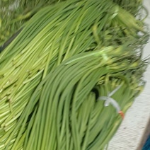 红帽蒜薹50~60厘米产地直发诚信经营基地直供