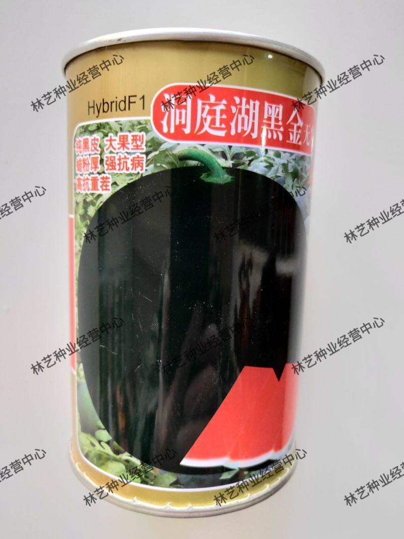 洞庭湖黑金无籽纯黑皮大果型强抗病高抗重茬西瓜种子水果种籽