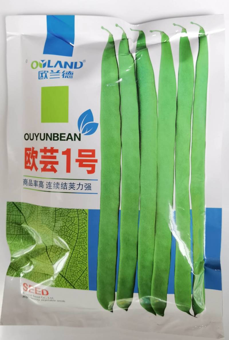 【精品三扁】扁豆种子欧芸一号四季豆种子无筋早熟高产
