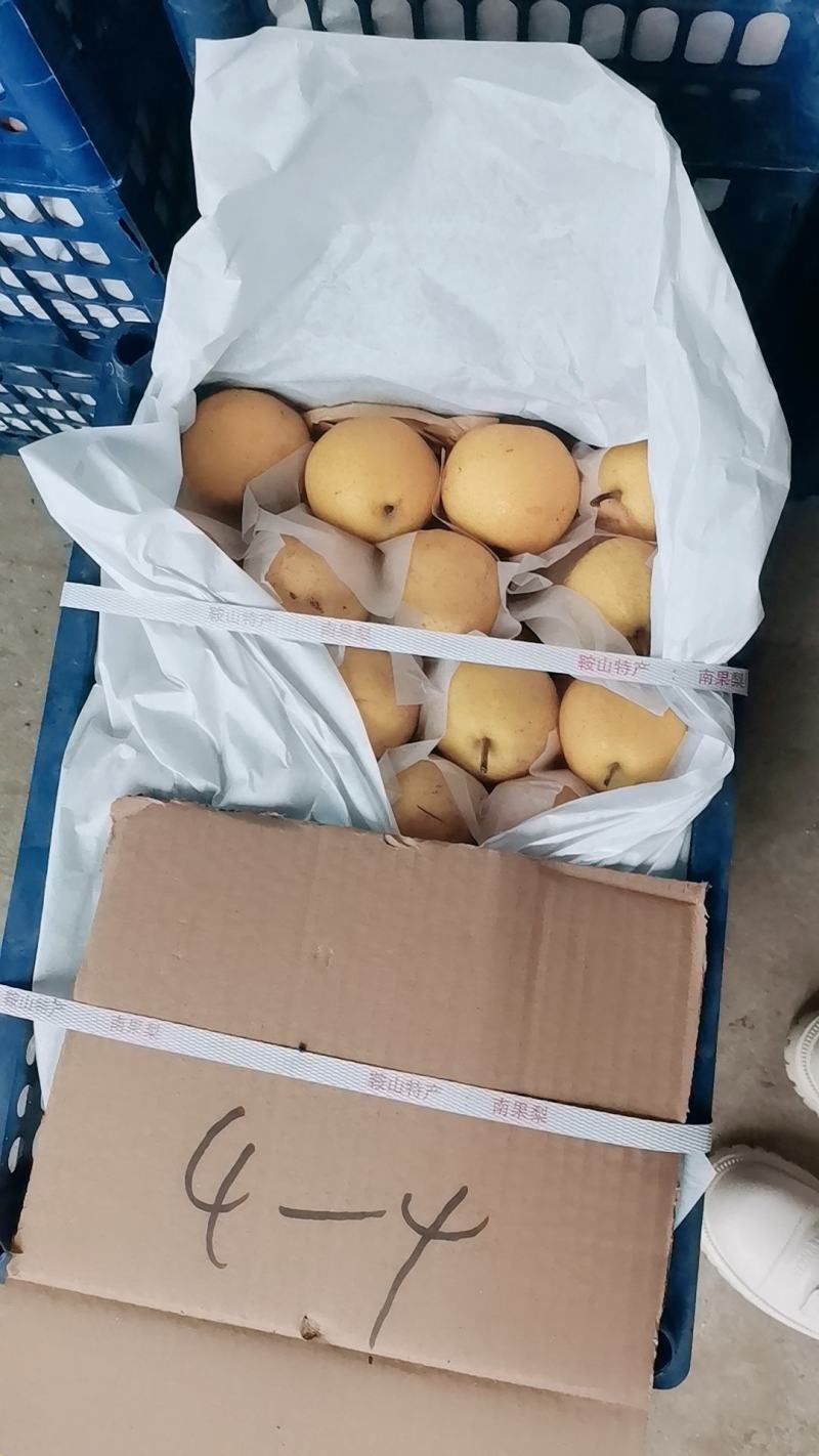 鞍山特产精品南果梨