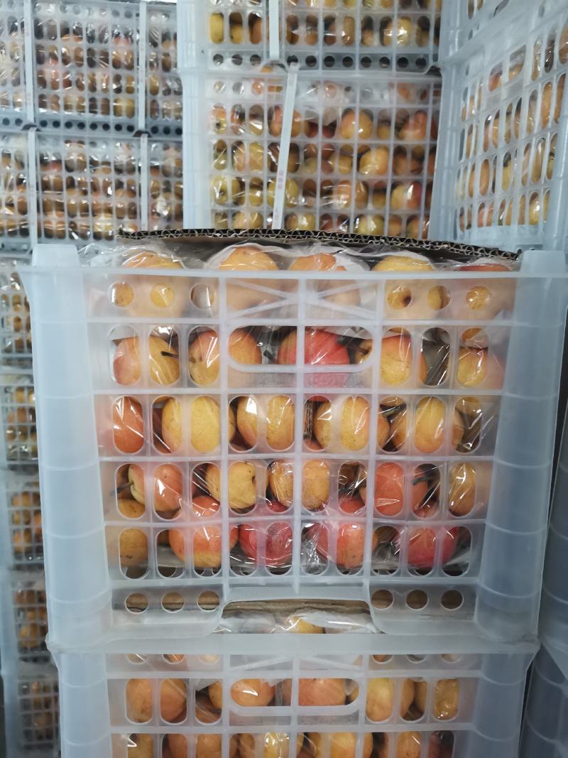 鞍山特产精品南果梨