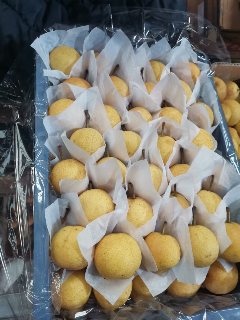 鞍山特产精品南果梨
