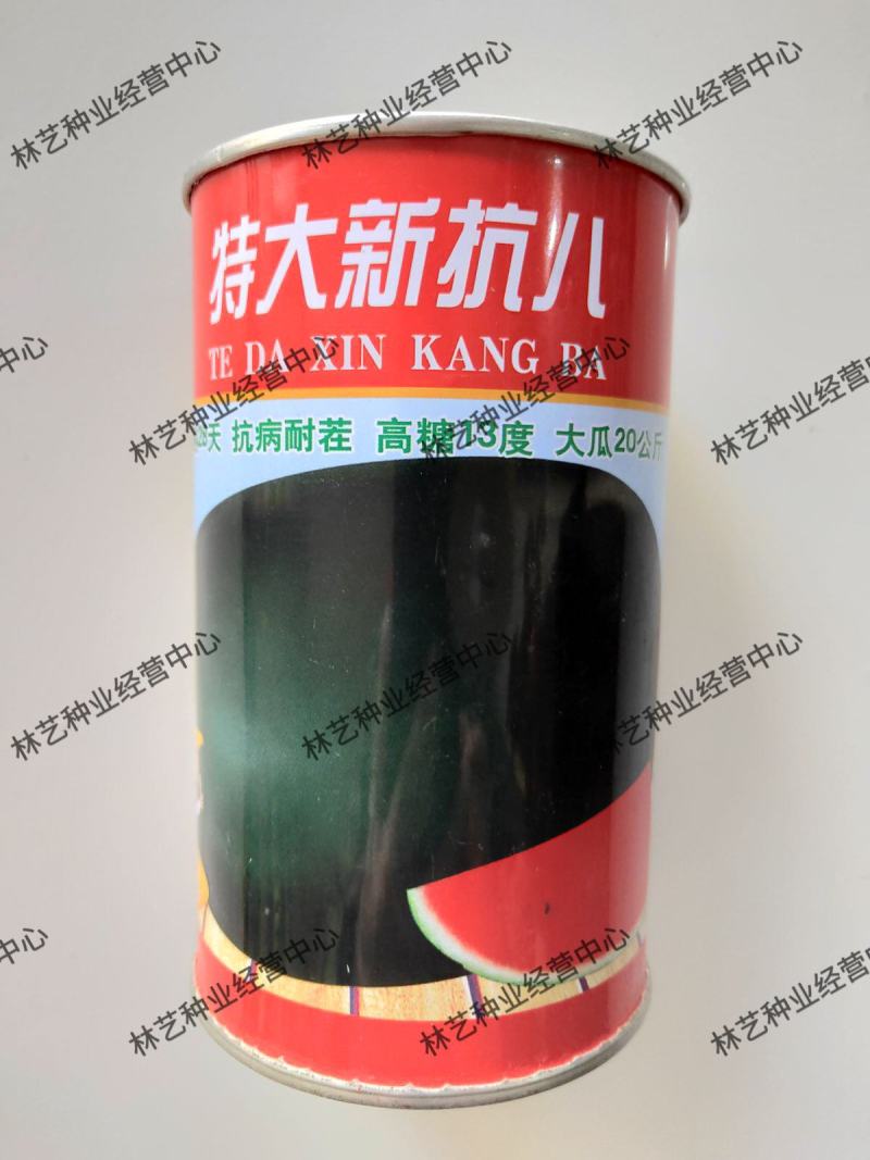 特大新抗八西瓜种子懒汉西瓜种子特大巨型西瓜家庭菜园庭院