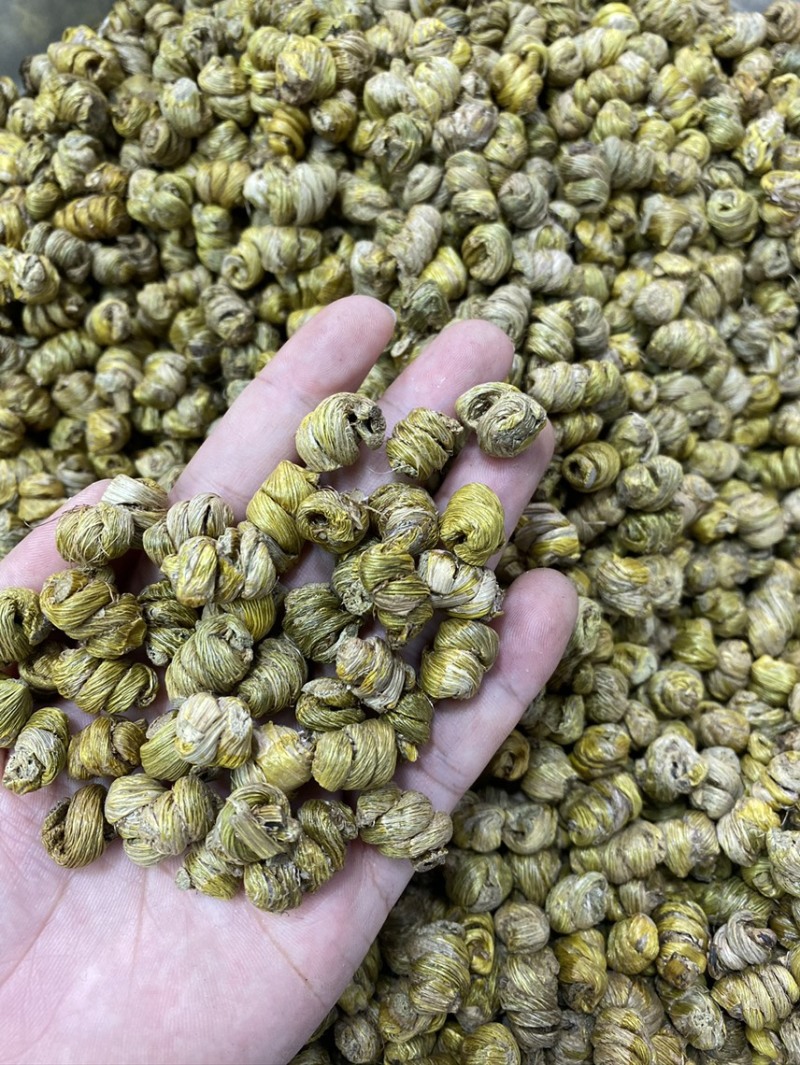 铁皮石斛