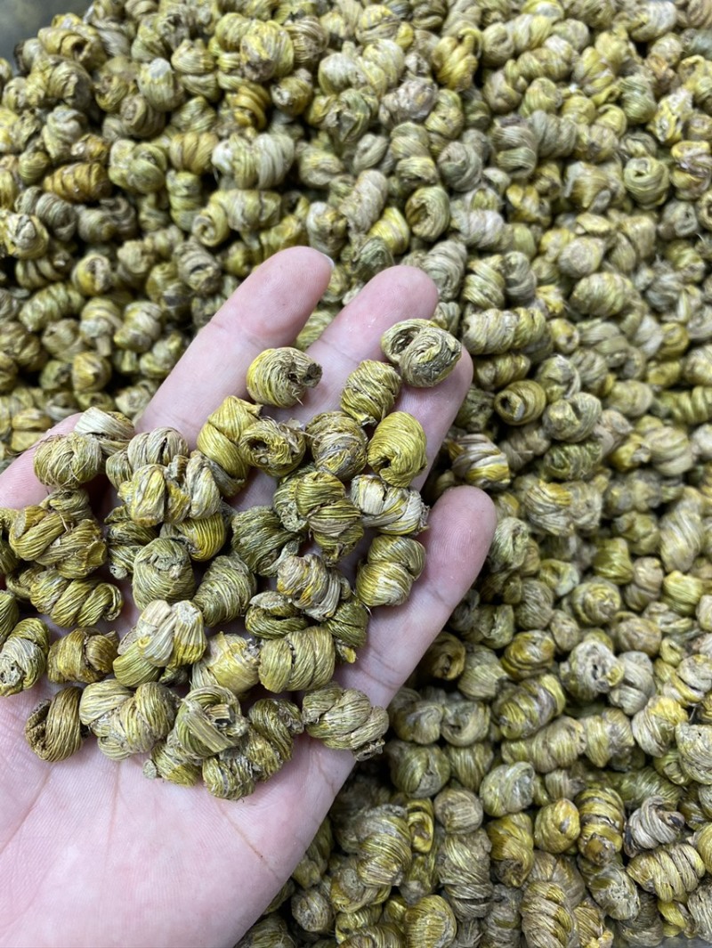 铁皮石斛