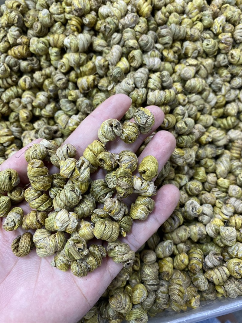 铁皮石斛