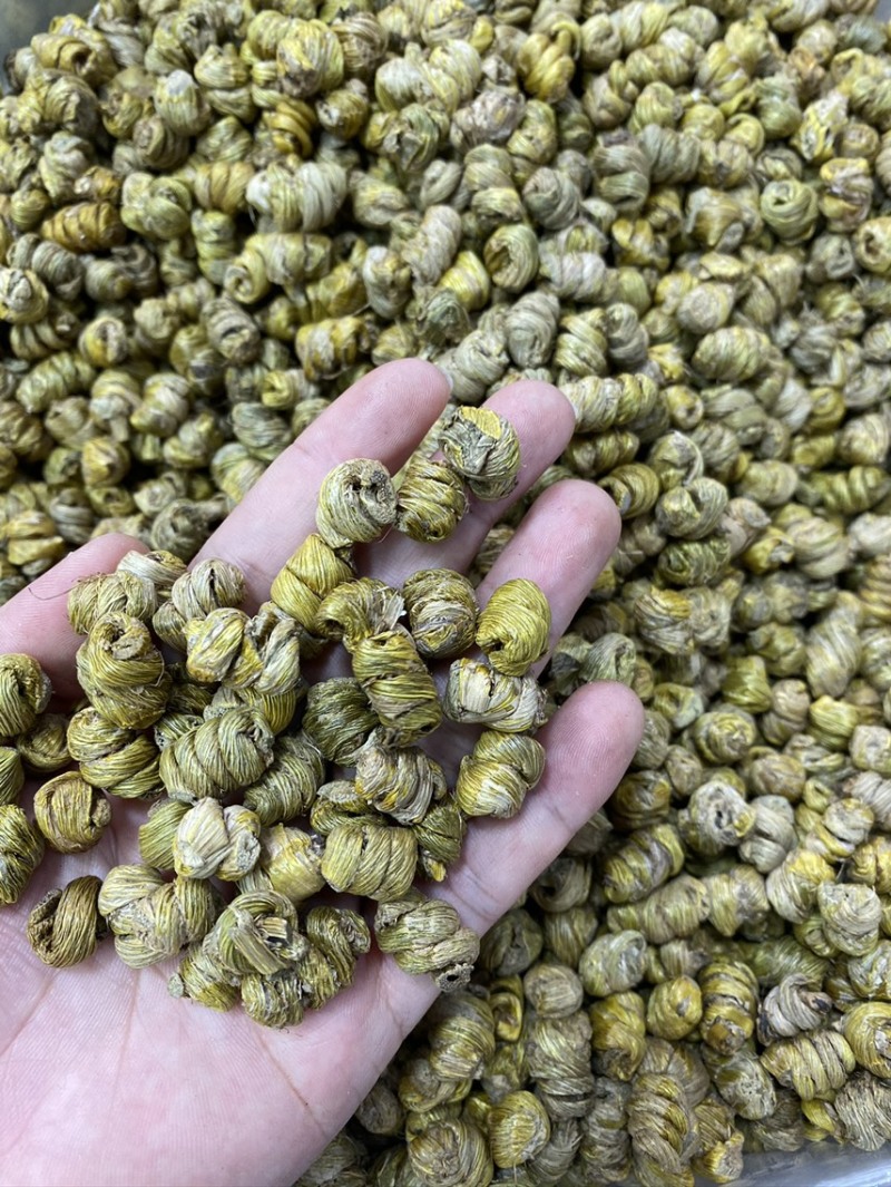 铁皮石斛
