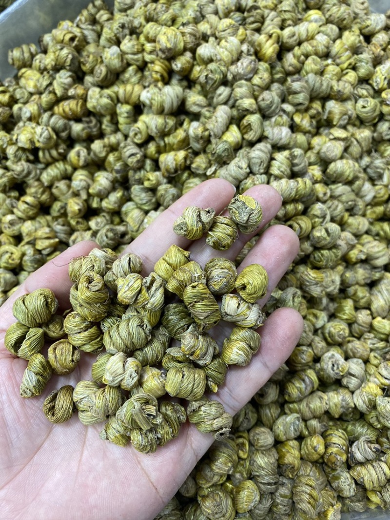 铁皮石斛