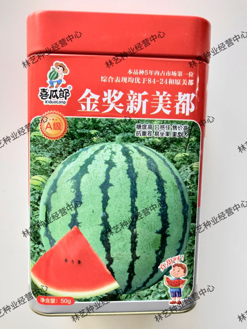 金奖新美都西瓜种子苗特大高产早熟抗病丰产冰糖8424西瓜