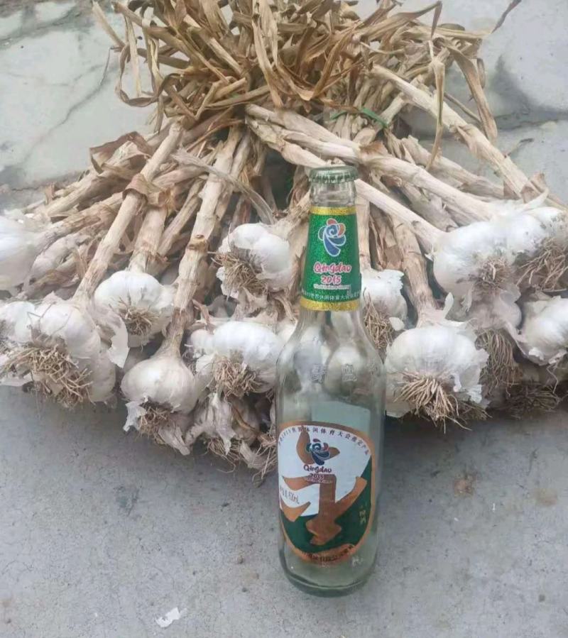 估亩蒜山东青岛大蒜一手货源批发品质保证价格美丽量大