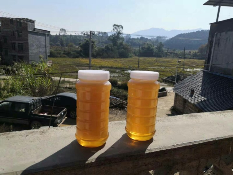 土蜂蜜，冬蜜（鹅掌柴）蜂蜜，白色结晶蜜，中华野生蜜
