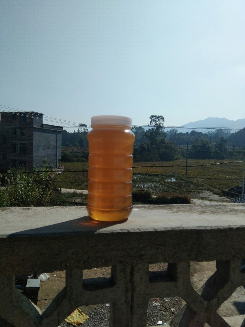 土蜂蜜，冬蜜（鹅掌柴）蜂蜜，白色结晶蜜，中华野生蜜