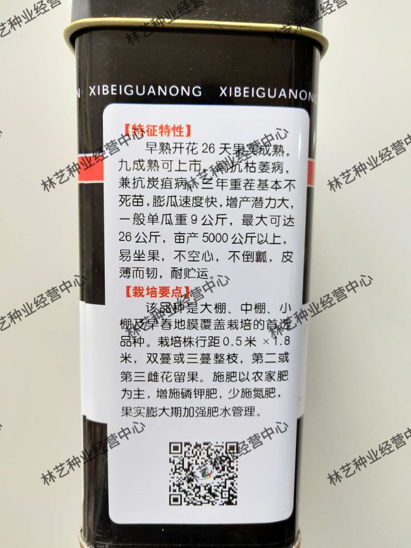 抗重茬早冠王西瓜种子抗病抗重茬特大巨型西瓜种籽