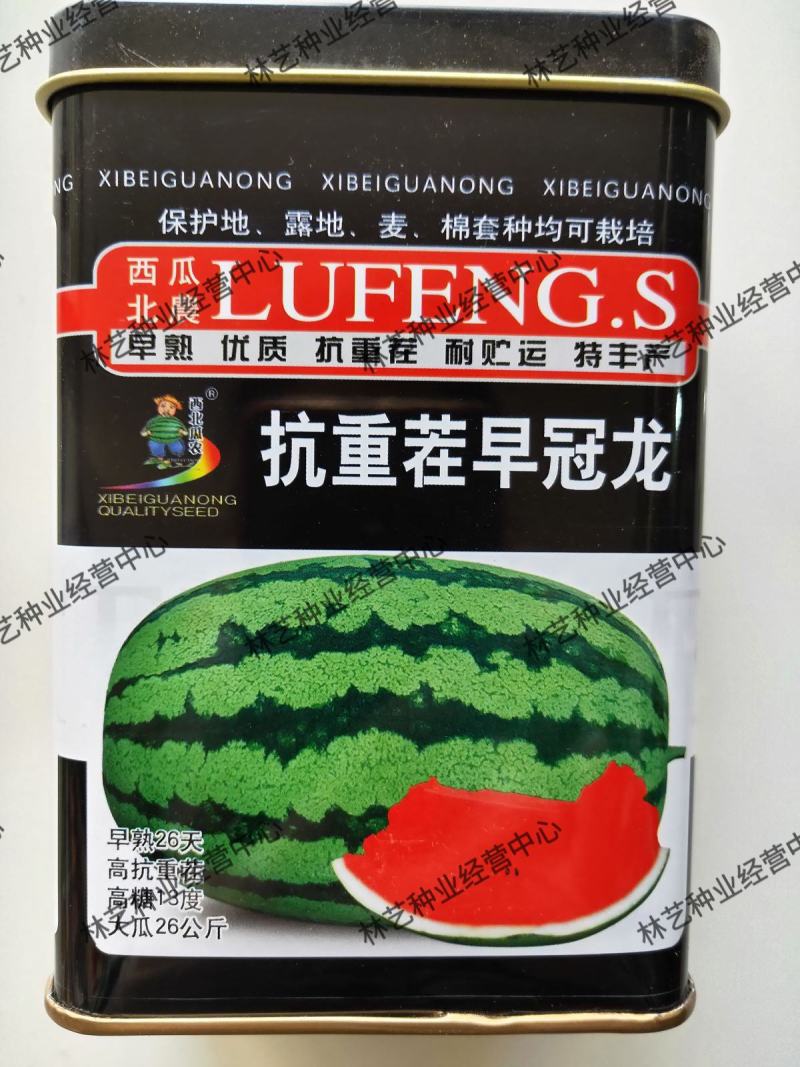 抗重茬早冠王西瓜种子抗病抗重茬特大巨型西瓜种籽