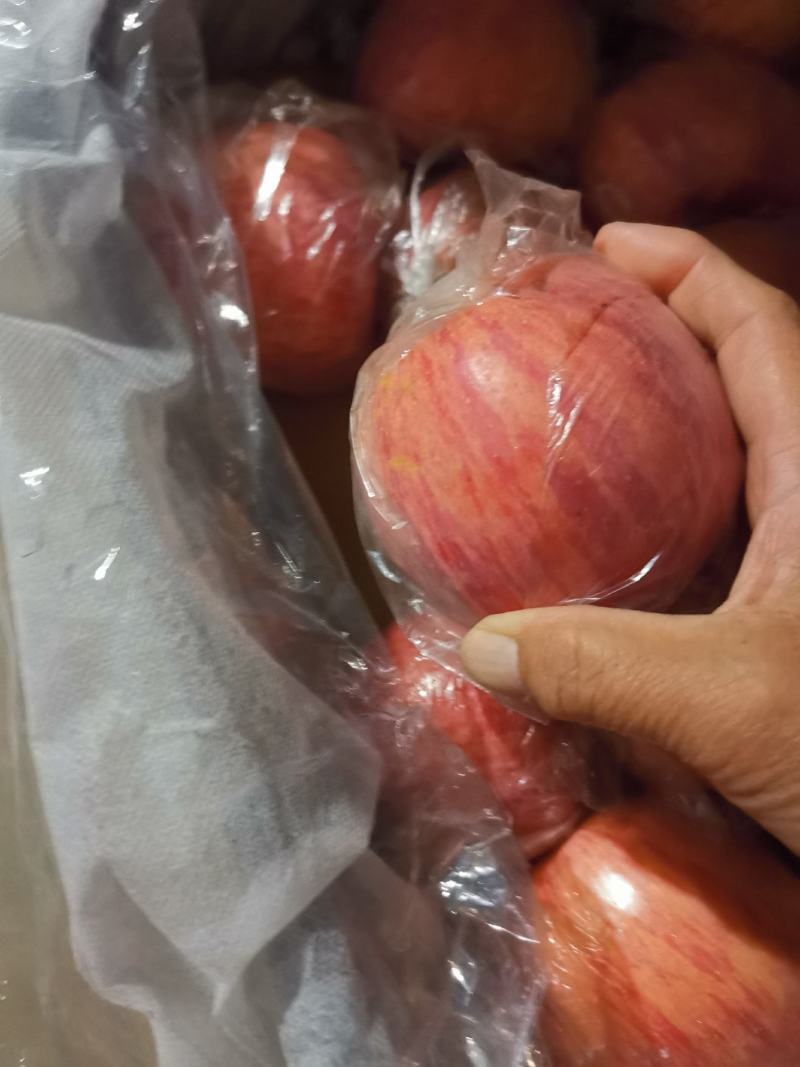 高原地窖纸加膜红富士苹果，货源充足，个大，颜色漂亮