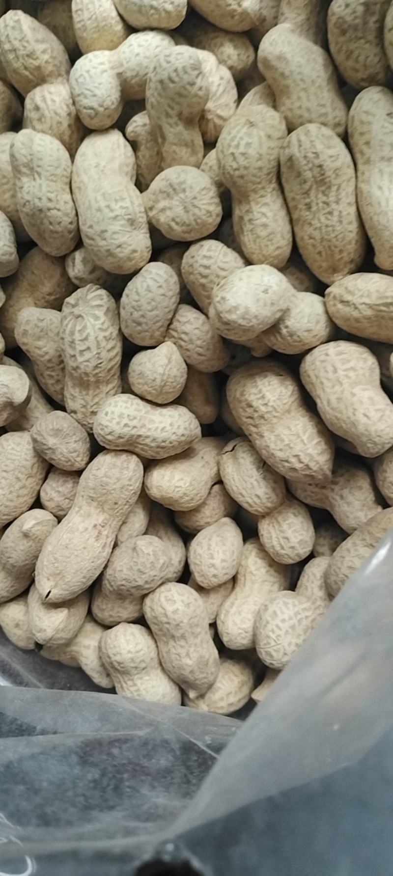 干炒厡味口香的海花果原味滿口香大花生