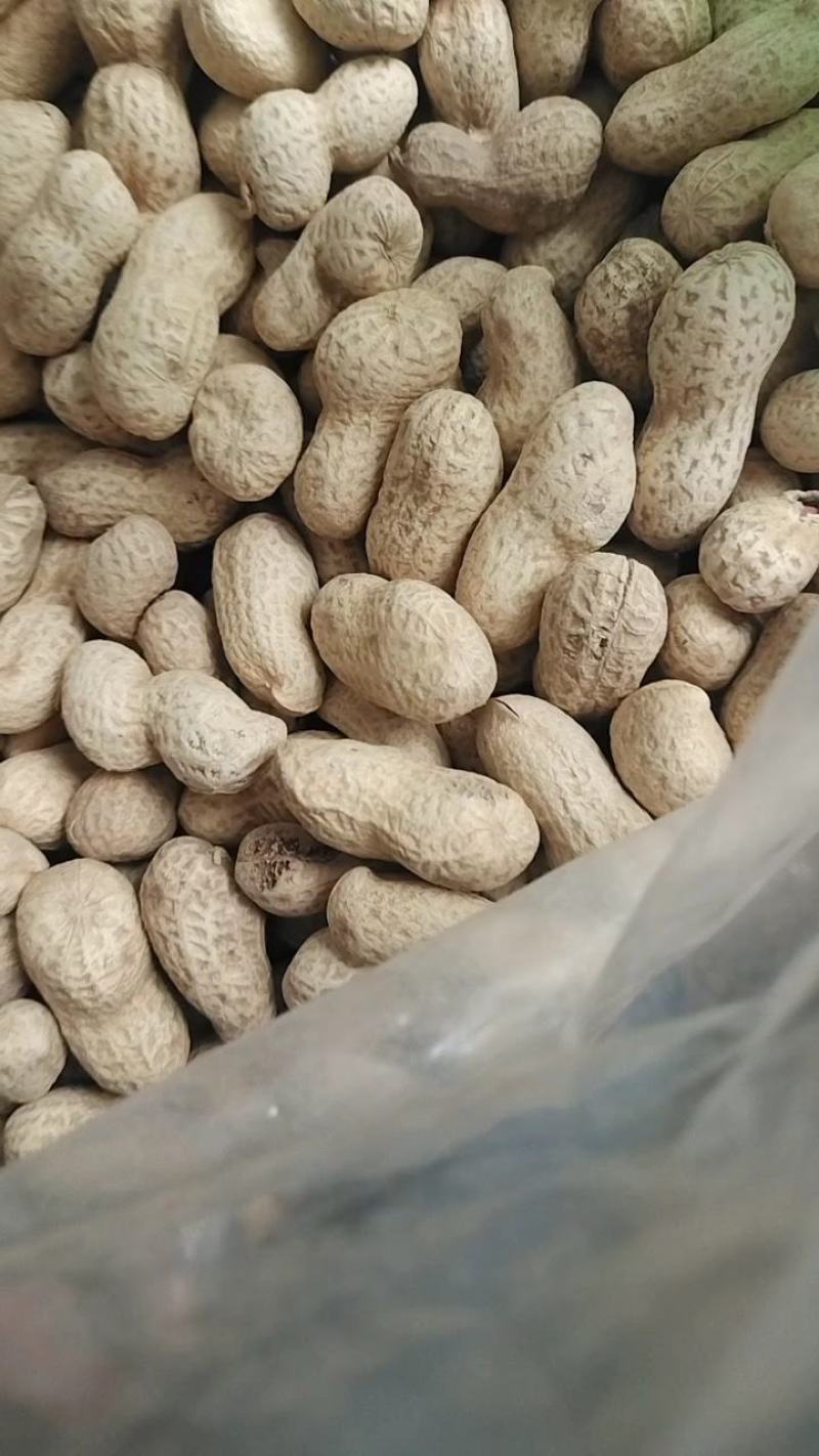 干炒厡味口香的海花果原味滿口香大花生