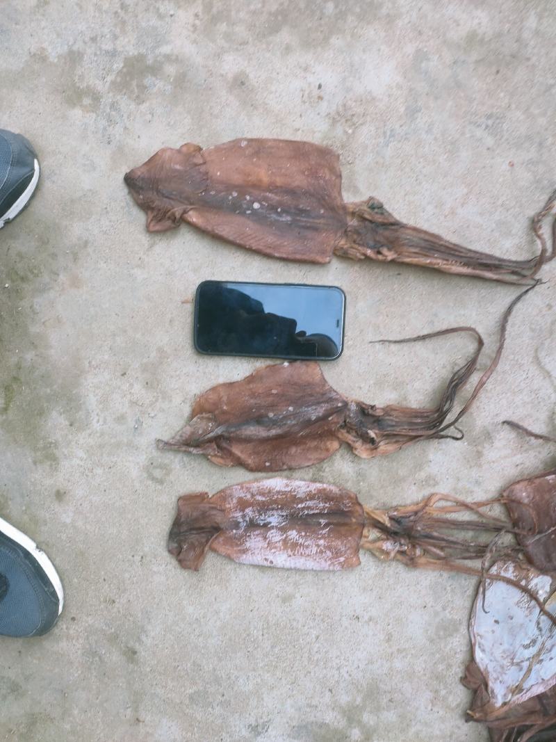鱿鱼干，残片，小个头，鱿鱼花，鱿鱼头，价格不高，一手货源